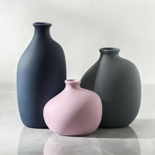 Ceramic Vase Set of 3,Decorative Vases Home Decor, Small Modern Boho Rustic Farmhouse Pottery Vases for Pampas Grass Dried Fresh Flowers,Bedroom,Living Room,Bookshelf, Mantel，Centerpiece Table Decor - color: 9099-2
