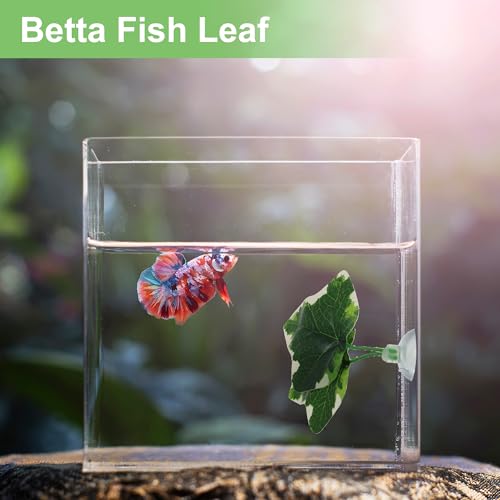 Betta Fish Leaf, Natural Habitat Simulation for Betta Spawnings Grounds, Betta Spawnings Leaves, Resting Bed, Double Leaves, White Deep Green