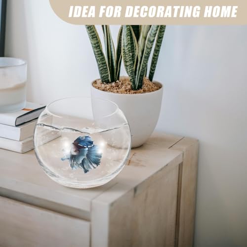 Baluue Round Glass Fish Bowl 5.90In Clear Bubble Vase Terrarium Planter for Hydroponic Plants Flower Display Home Office Decor Compact Size - size: 15.00X15.00X10.00CM