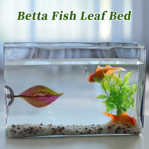 Betta Fish Bed, Betta Leaf Bed, Silicone Betta Hammock, Betta Hammock Pad with Suction Cup, Glowing Aquarium Decor Betta Fish Supplies, Red 2set