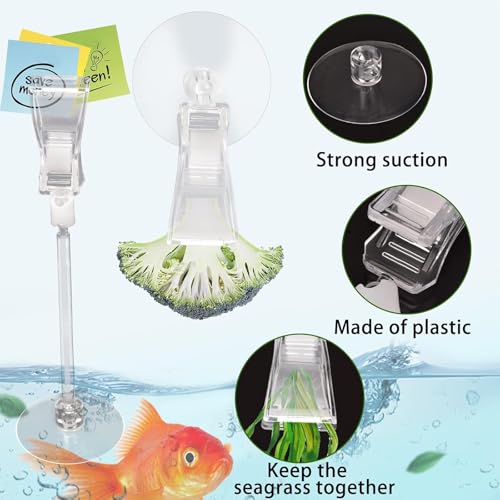 6 Pack Veggie Aquarium Seaweed Clips Fish Food Holder Wide Mouth Clips Plants Suction Cups Algae Clip for Freshwater and Marine Fish Tank (Mixed Clip) - size: Mixed