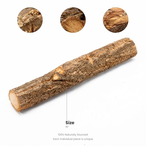 Ultum Nature Systems Driftwood - Log Wood - Natural Aquarium Hardscape for Planted Tank Aquascaping - Fish, Crab, Reptile, Bird, Paludarium Enclosure Structure, Terrarium Decor - SM 1Pc, 9-12" ⌀1-2" - size: 9-12" ⌀1-2" 1-Pack