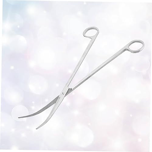 Gatuida 2pcs Aquarium Grass Scissors Curved Tip Plant Scissors Tongs for Aquatic Plant Care - color: Silverx2pcs, size: Mx2pcs