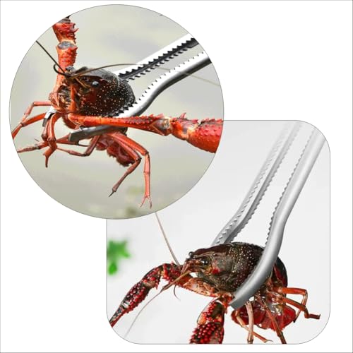 Stainless steel crab and reptile feeding pliers, 15 inch double pack, straight mouth and curved serrated jaws, suitable for live seafood and pet care