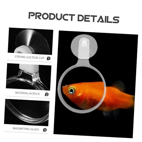 Toyvian Aquarium Glass Cup for Detailed Observation of Fish Plants and Small Animals for Betta Fish and Landscapes