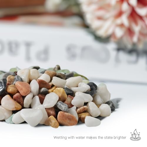 3Lb Pebbles for Indoor Plants,River Rocks for Succulent Plants,Aquarium Gravel,Decorative Stones Bonsai Garden Pebbles,Aquarium Rocks for Landscaping,Plants,Vase Fillers (Grey & White) - color: Grey & White