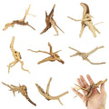 8 Pcs Natural Spider Woods, 4-8 Inch Small Driftwood Branches, Aquarium Driftwood for Reptile Fish Tank Decorations