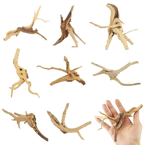 8 Pcs Natural Spider Woods, 4-8 Inch Small Driftwood Branches, Aquarium Driftwood for Reptile Fish Tank Decorations