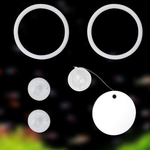 Beta Fish Aquariums Accessories, 1 Fish Mirror with Floating Ball & 2 Exercise Training Ring Toys, Fish Feeding Ring, Betta Fish Toys Set for Tank, Enrichment Toys for Fish - color: white ring