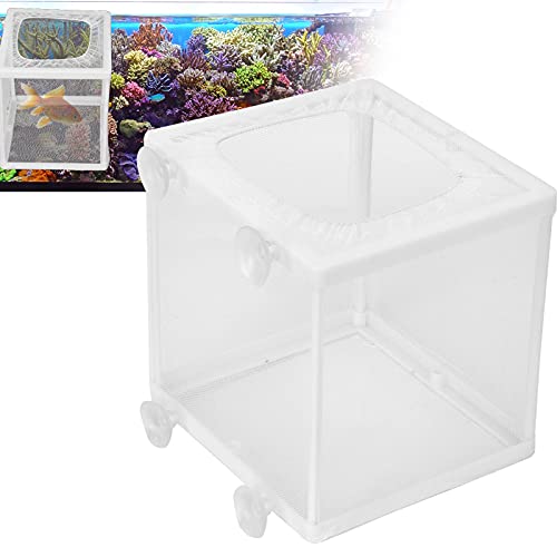 Fish Breeding Aquarium Box, Multifunctional Fish Breeder Box for Small Fish, Size S - size: Small