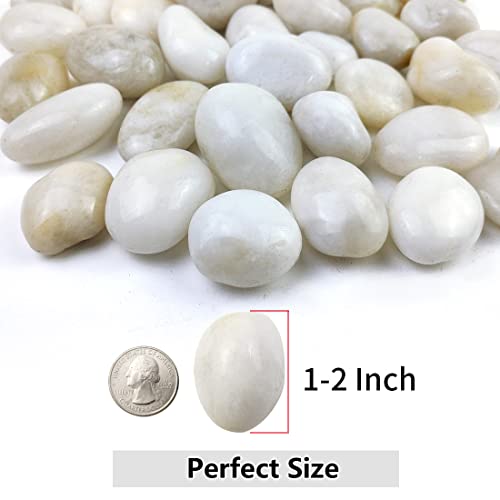 YISZM 10lbs White River Rocks, 1-2 Inch Natural Pebbles for Indoor Plants, High Polished Decorative Stones Vase Filler Fish Tank Aquariums Landscaping Garden Outdoor and Indoor DIY - color: White, size: 10 Pounds