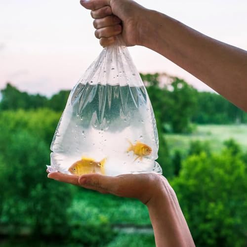 APQ Supply Clear Plastic Fish Bags, 6 x 12 Inch, 2 Mil Poly Bags, Pack of 100, Unprinted Clear Poly Bag for Aquarium Species Transfer and Transport - style: 6" X 12" / 2 Mil / 100 Pack