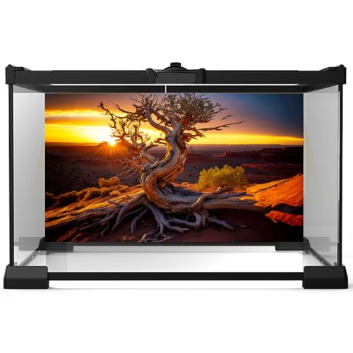 Desert Reptile Habitat Background Dead Tree Sunset Desert Terrarium Background Spectacular Sunset Desert Dead Tree Terrarium Backdrop Tranquil Desert Nature Landscape Aquarium Backdrop 24x12in - color: Root Gold, size: 24(W)x12(H)inches/ 60(W)*30cm(H)