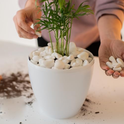 YISZM 10lb White River Rocks, 5/8 Inch Natural Pebbles for Indoor Plants, Snow White Decorative Stones, Ideal for Fish Tank, Vases, Crafting, Home Decor and Garden Landscaping Rocks - size: 10 Pounds, style: 5/8 Inch