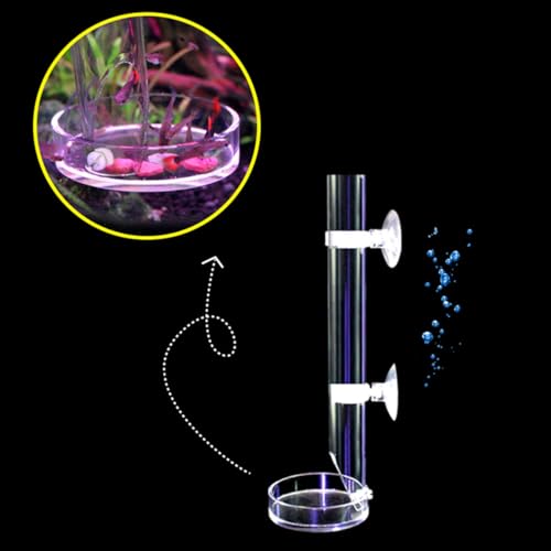 Toyvian Shrimp Food Tube and Feeding Basin Aquarium Feeder Tube 2cm X 27cm Acrylic Fish Tank Shrimp Supplies with 80mm Feeding Dish