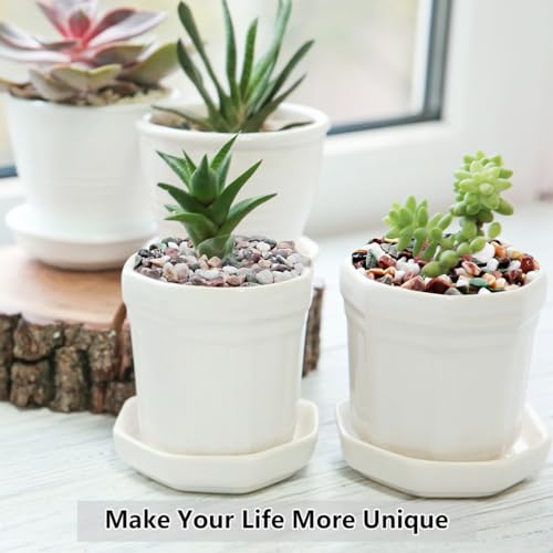 YISZM 2LB Succulent and Cactus Gravel Pebbles, 1/5 Inch Natural Decorative Polished Stones, River Rocks for Vases Gardening Indoor and Outdoor Decorative Rocks, Colorful - color: Colorful, size: 2 Pounds