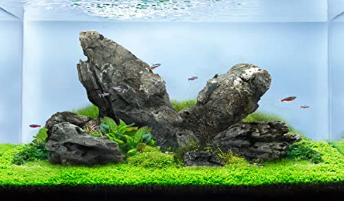 LANDEN Seiryu Stones Natural Rocks (17lbs, 3~11 inches,7-8pcs) for Aquarium, Paludarium, Terrariums, Landscaping Rocks, Aquascaping - size: 06 Seiryu Stones(3-11inch,17lbs)