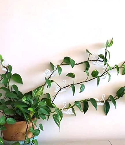 50PCS Plant Wall Clips: Vine Climbing Self-Adhesive Invisible Fixing Hook for Wall & Garden Decoration - size: snail