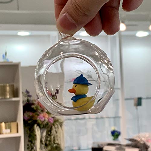 WGV Hanging Terrarium Globe, Width 2.25", Height 2.75", DIY Air Succulent Planter, Clear Glass Vase Orb with Flat Bottom, Candle Holder for Windowsill Outdoor Garden Decor, 6 Pieces Bulk - size: 2" Flat Bottom