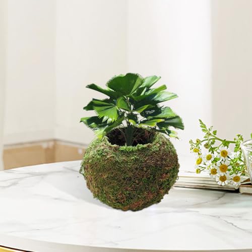 3 Pack Moss Ball Flower Pots,7 in Natural Planter Bonsai Plant Holder Bird Nest for DIY Gardening Home Table Decoration,Weave Moss Ball Planter,Garden Plant Potted Hydrating Flowerpots