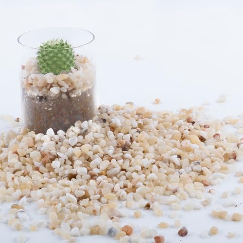 2.4lb Aquarium Gravel for Plants, 1/5Inch Outdoor Decorative River Rocks for Succulents and Cactus Landscaping, Garden Plant Rocks Natural Small Rocks Pea Gravel for Fish Tank Vases Terrarium