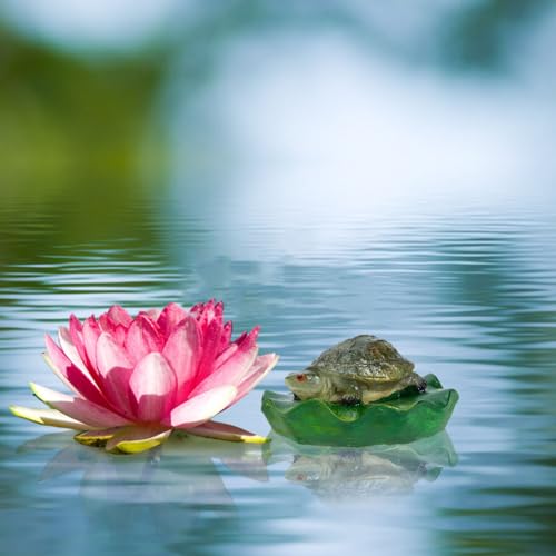 Mikikit Realistic Floating Turtle Statue Pond Decorations Garden Pond Accessory Resin Craft Ornament