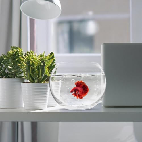 Baluue Round Glass Fish Bowl 5.90In Clear Bubble Vase Terrarium Planter for Hydroponic Plants Flower Display Home Office Decor Compact Size - size: 15.00X15.00X10.00CM