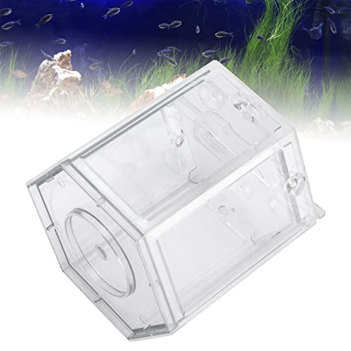 Fish Clear Goldfish with Light Desktop Small Fish for Betta Fish, Shrimp, Goldfish(Transparent)