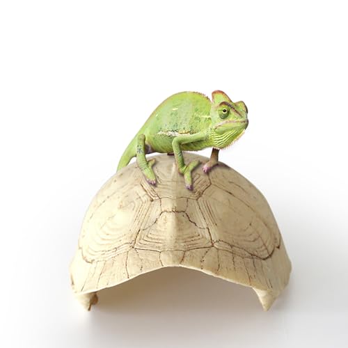 Reptile Breeding Box Shelter Terrarium Hideout Hide Caves Climbing Platform Resin Turtle Shell Habitat Decor