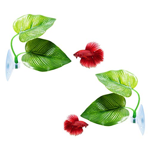 CousDUoBe 2 Pack Betta Fish Leaf Pad Improves Betta's Health by Simulating The Natural Habitat - Natural, Organic, Comfortable Rest Area for Fish Aquarium Ornaments - size: 2 Pack
