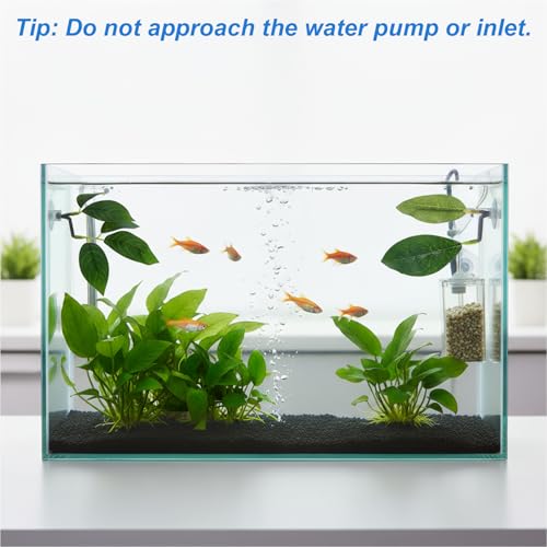 3 Pack Betta Leaf Hammock Plant Leaf Pad Betta Fish Pad Plastic Suction Cup Tank Accessories Aquarium Décor Improves Betta's Health by Simulating The Natural Habitat Spawning Grounds Breeding Bed