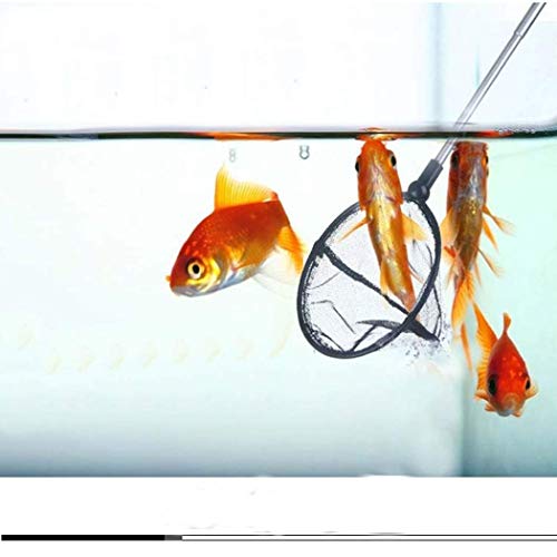 3 Inch Small Aquarium Fish Net with extendable Long Handle for Betta Fish Tank Round - size: Round