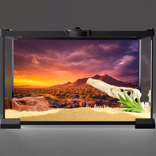 AWERT 36x20 inches Sun and Desert Terrarium Background Mountain Oasis Gobi Reptile Habitat Background Vinyl - size: 36x20in/90x50cm