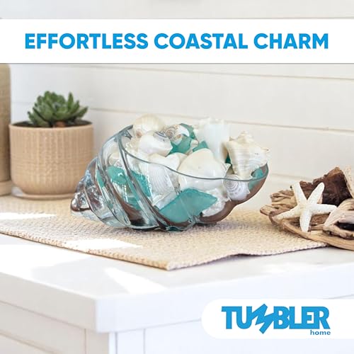 Tumbler Home White Sea Shell Mix with Aqua Sea Glass | Set Contains 1.5 lbs of Seashells and Seaglass | Beach Decor, Crafts, Wedding, Vase Filler - color: Shells + Glass