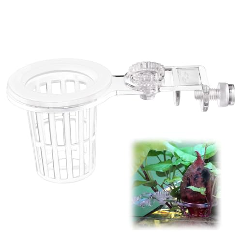 Sturdy Aquarium Plant Holder, Acrylic Adjustable Clear Aquarium Plant Holder Premium Aquarium Planter Cups for Aquarium Aquascape Cultivation Decoration - color: Fixed Type Single Cup