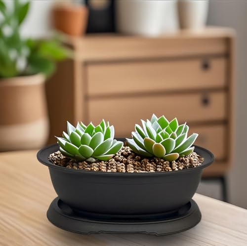 MUZHI 3 Pack Oval Bonsai Training Pot with Drainage Tray, Matte Finish Nursery Plastic Bonsai Planter with 25PCS 2inch Mesh pad (5.2" Small) - size: 5.2" Small