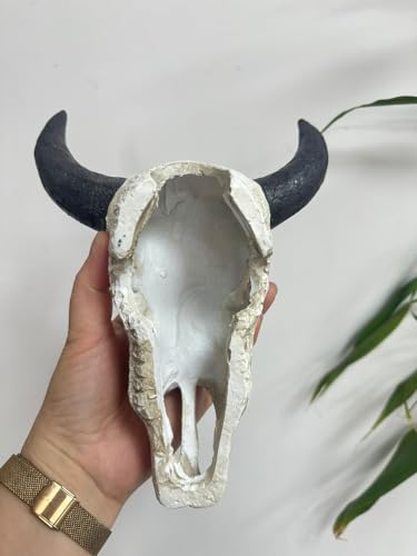 8x6 inch Aquarium Decoration Fish Tank Skull Animal Skull Statues Décor Ornaments Fish Turtle Hidden,Amphibians Bonsai Beautification Cave Landscape Pet Reptile House (White - Black Horn Cattle Skull) - color: White - Black Horn Cattle Skull
