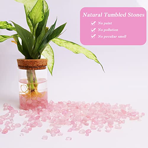 QICQDRAM Dyeing Rose Quartz Crystal Chips Bulk 0.9 Lb/405g Crystal Tumbled Stone Decorative Pebbles for Home Decoration & Fish Turtle Tank, Vase Filler, Plants Decor - color: Rose Quartz