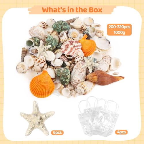 200-320 Pcs Mixed Sea Shells for Crafting, 1000 g Natural Seashells with Plastic Starfish, Various Sizes Seashells for Decoration, DIY Craft Projects, Home Decor and Fish Tank