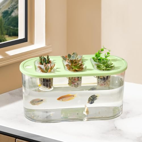 Hydroponic, Hydroponic System, Planting Container, 6 Holes, Indoor Tabletop Mini Aquarium for Plants and Fish, Green - color: Green