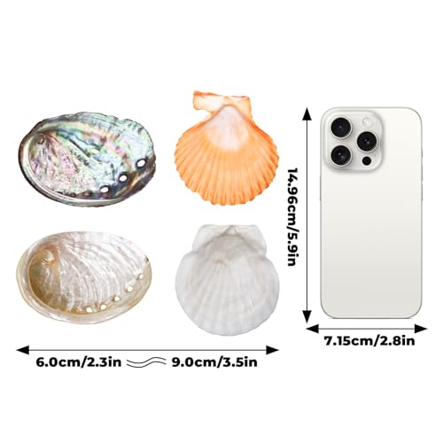 4-Pack Natural Shell Betta Fish Hammocks with Suction Cups – Betta Tank Accessories, Resting Ledges & Aquarium Shell Décor for Small Fish