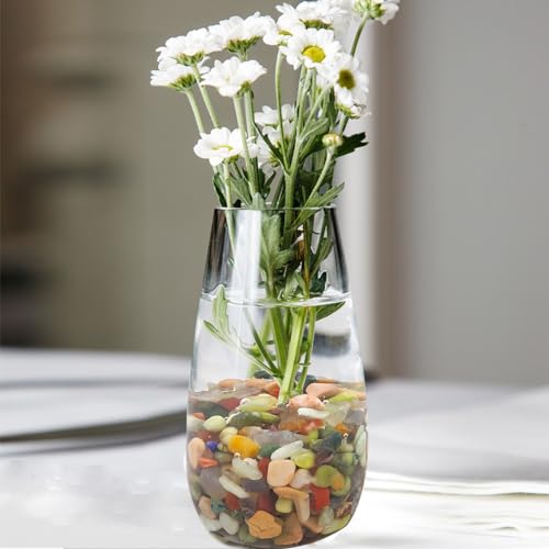 FANTIAN 10 lbs Small Succulent Rocks, 3/8 Inch Colorful Polished Pebbles for Indoor Plants. Decorative Rocks for Plants Indoor, Vases, Planters Aquarium and Outdoor Landscaping Garden - size: 10 pounds, style: Colorful