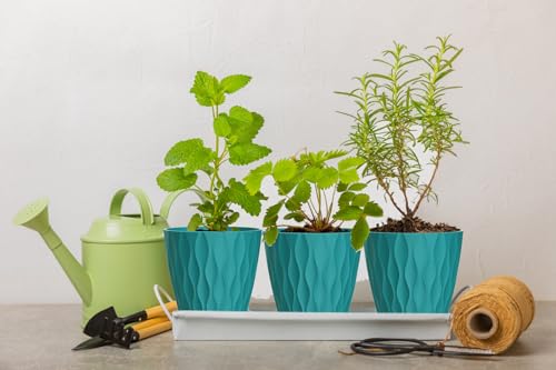 6 Inch Plant Pots, 6 Pack Indoor Flower Pots, Planters with Drainage Holes and Trays for Orchids, Violets, Succulents, Herbs, and Other Plants,Blue-Green - color: Blue-green, size: 6inch