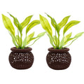 Aquarium Plant Pot Holders, Aquatic Plant Holder, Securely Hold Aquatic Plants, Promoting Healthy Root Growth, Fish Tank Aesthetic (Set of 2 (Dark Brown)) - color: Set of 2 (Dark Brown)