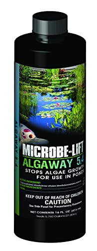 MICROBE-LIFT ALGA16 Algaway 5.4 Algae Control Treatment for Ponds and Water Gardens, Safe for Koi Fish, Goldfish, Plants, and Decorations, 16 Ounces - size: 16 Ounces