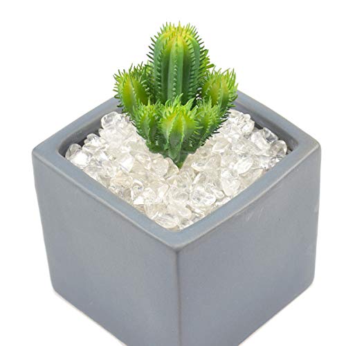WAYBER 1 Lb/460g Natural White Clear Quartz Crystal Stones Irregular Aquarium Pebble Decorative Rocks Gravels Sands for Turtle Tank//Terrarium/Flowerpot/Vase Decoration (Fill 1 Cup) - color: Clear, size: 1 Pound