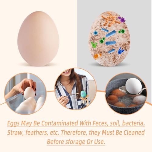 Silicone Egg Brush Cleaner, Egg Washer for Fresh Eggs, Egg Cleaner for Fresh Eggs, Egg Scrubber for Fresh Eggs, Reusable Cleaning Tools for Egg Washer (Green) - color: Green