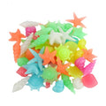 50PCS Luminous Stone, Glow in The Dark Conch Starfish,Glowing Rocks Fish Tank for Swimming Pool Aquarium Plant Pots Bonsai Walkway Driveway Garden Decoration