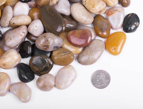 3.0 lb Mixed Color River Rock Stones 1~1.5", Natural Decorative Highly Polished Pebbles, Indoor Decorative Stones for Plant, Aquariums, Landscaping, Garden Flower Bed, Vase Fillers - size: 3.0 LB