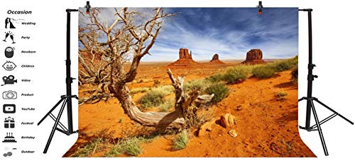 Leyiyi 5x4ft Monument Valley Photography Background American National Park Navajo Tribal Park Cowboy Western Desert Plant Rock Dry Trunk Warship Landmark Film Polyester Backdrop Terrarium Background - color: Desert4, size: 5x4ft-P